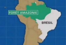 guarana amazonie