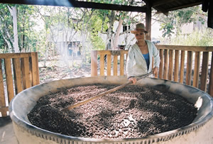 sechage du guarana